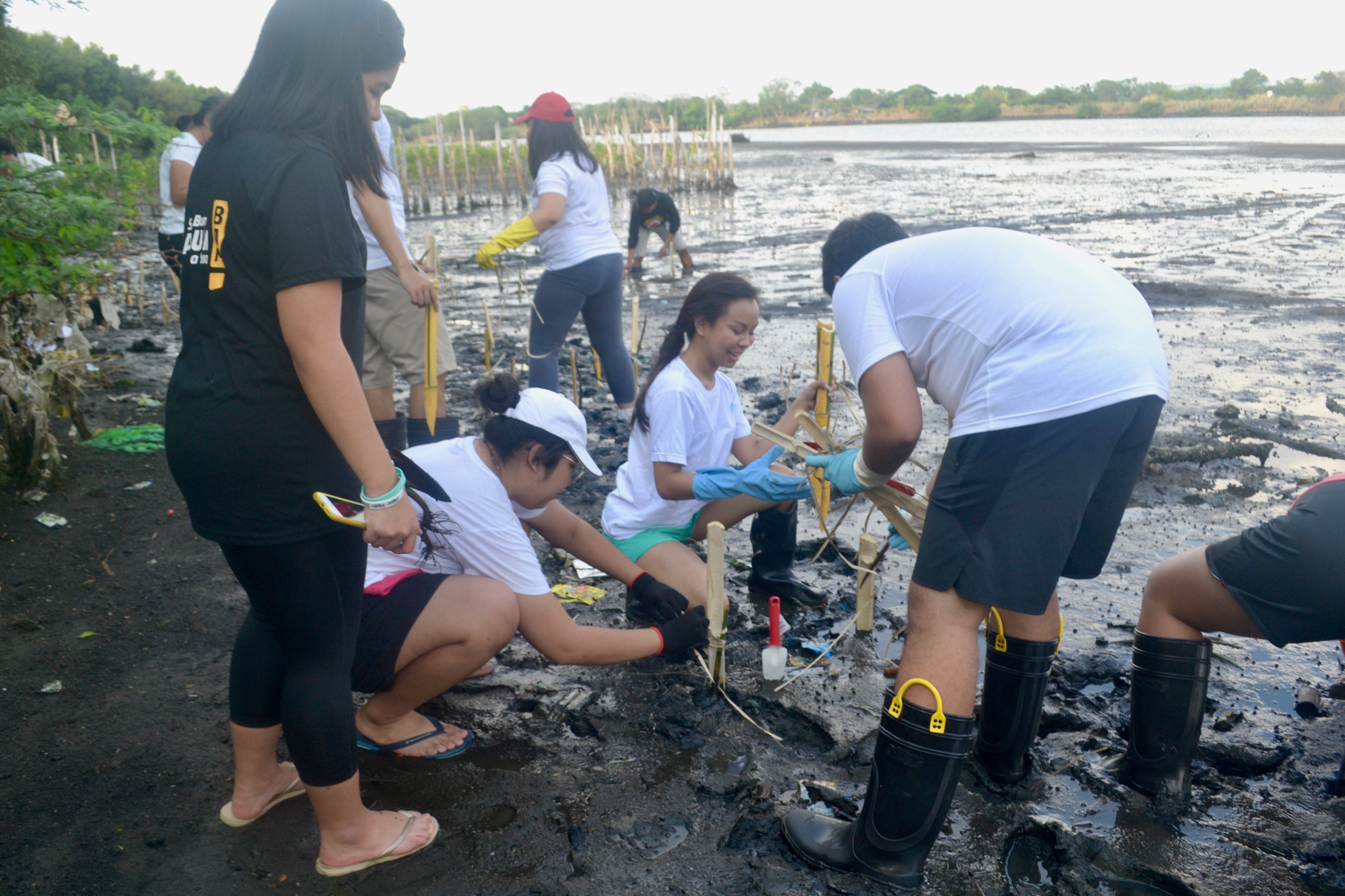 SDG students highlight climate action in mangrove planting project in Batangas